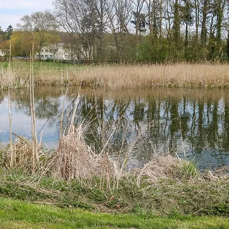 Daire Cozy In Krakow Am *